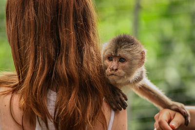 Monkey touching woman and cropped hand