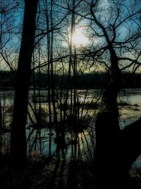 Silhouette bare trees by lake in forest against sky