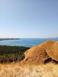 Scenic view of sea against clear sky