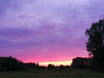 Silhouette trees on field against sky at sunset