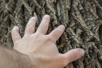 Close-up of hand