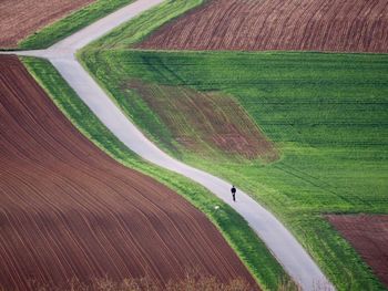 High angle view of man walking on road amidst agricultural field