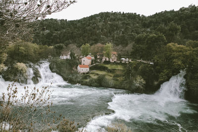 Scenic view of river flowing amidst trees in forest