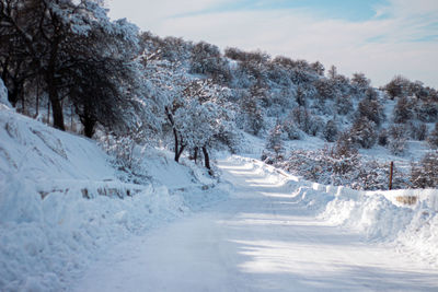 Snow in the mountains