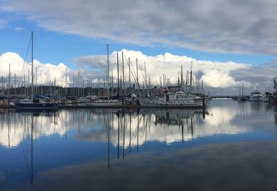 Sailboats in marina