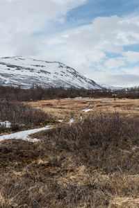 Scenic view of landscape against sky