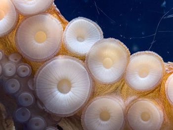 Full frame shot of abstract background