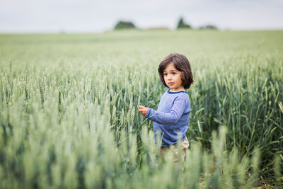 Little handsome baby boy walking in the field