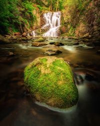 Scenic view of waterfall in forest