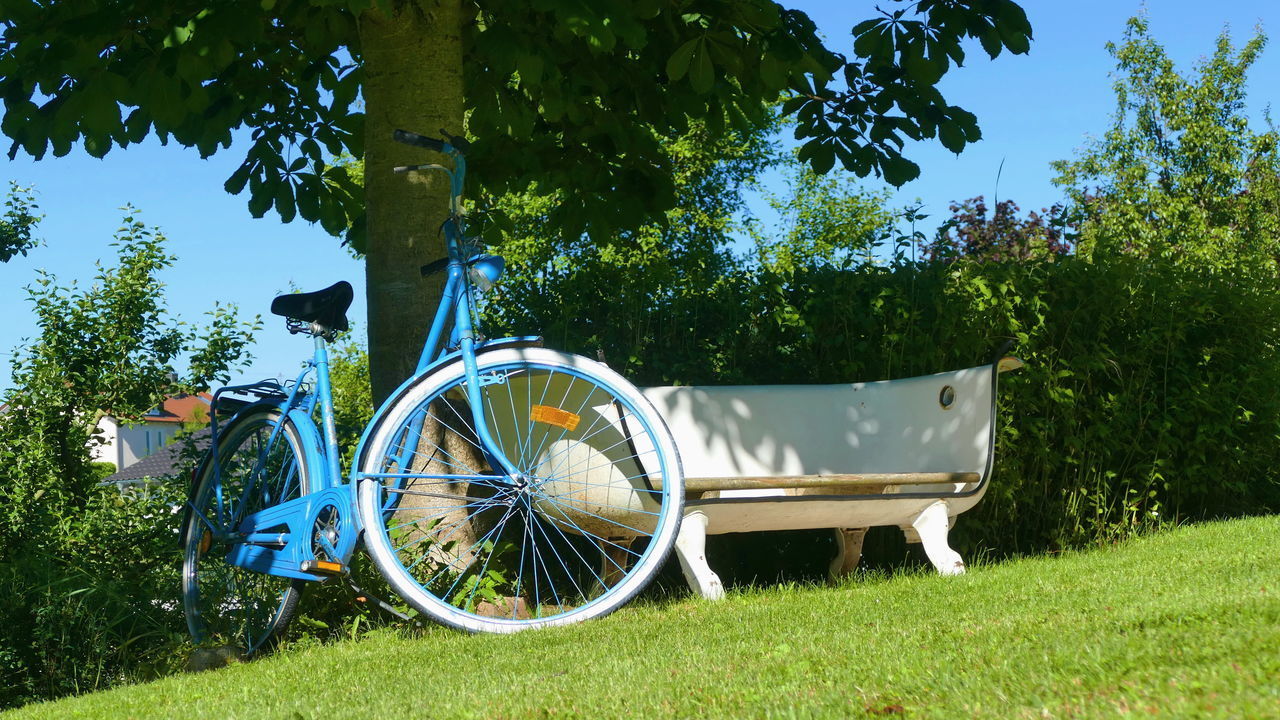 CHAIRS ON FIELD BY TREES