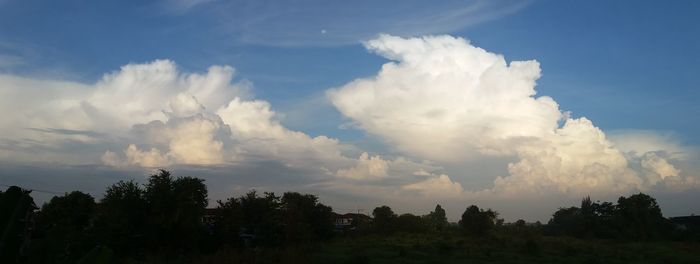 Panoramic view of trees against sky