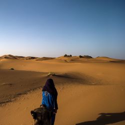 Rear view of berber walking with camel on desert against clear sky