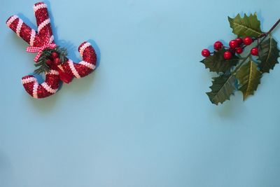 High angle view of red berries on table