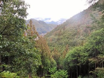 Scenic view of mountains