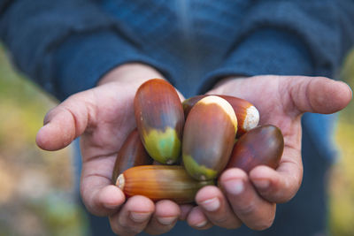 Close-up of man holding fruits