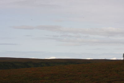 Scenic view of field against cloudy sky