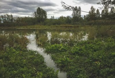 Scenic view of lake against sky