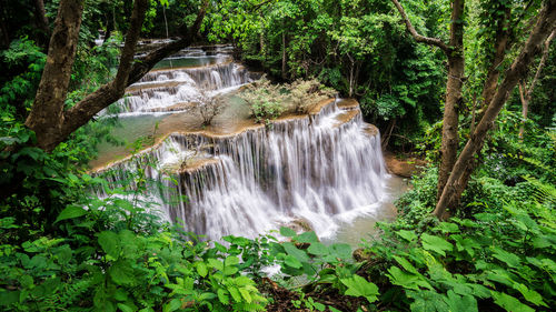 Scenic view of waterfall in forest