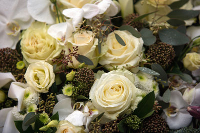 Close-up of rose bouquet