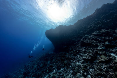 People swimming in sea