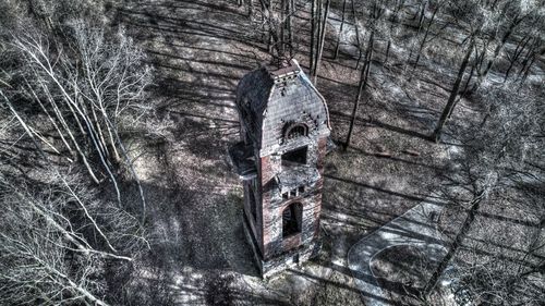 High angle view of bare tree in forest