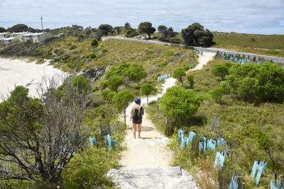 High angle view of woman walking amidst plants