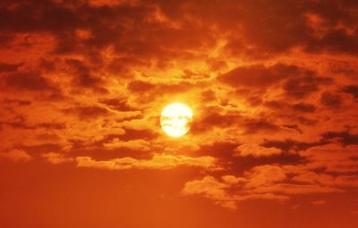 Low angle view of silhouette sun against orange sky