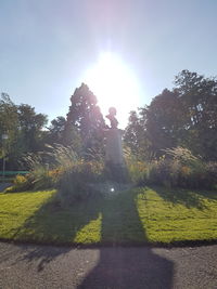 Sun shining through trees in park