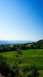 Scenic view of landscape against clear blue sky