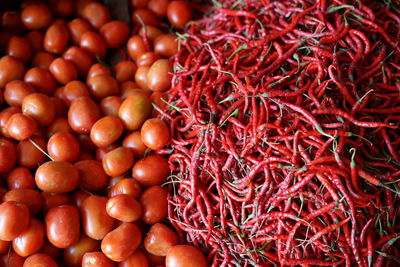 Bunch of spicy red chili and tomatoes