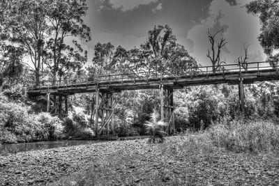 Bridge over trees on field against sky