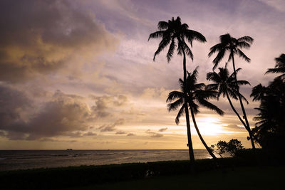 Silhouette palm tree by sea against sky during sunset