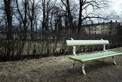 Empty park bench against bare trees in grass