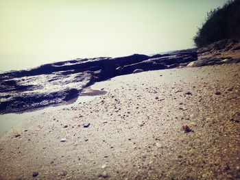 Scenic view of landscape against clear sky