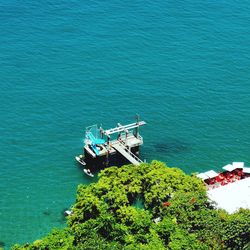 High angle view of plants by sea