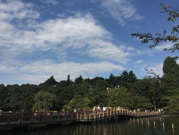 Scenic view of trees against sky