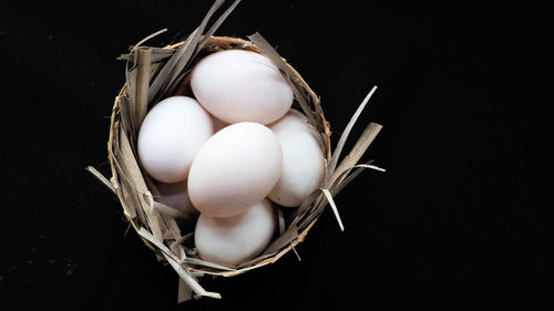 High angle view of eggs in container against black background