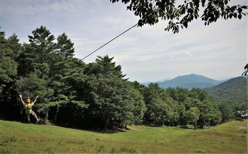 Rear view of man ziplining in forest