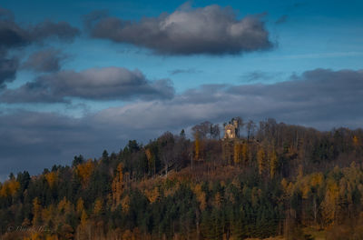 Trees in forest against sky during autumn