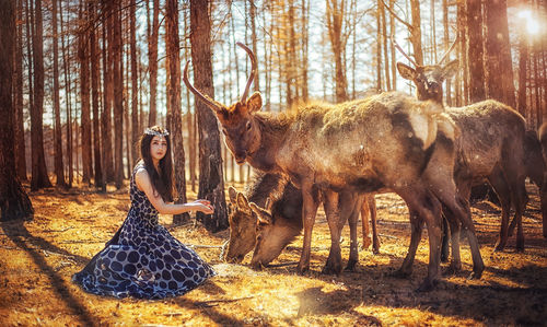 Portrait of young woman feeding animals in forest