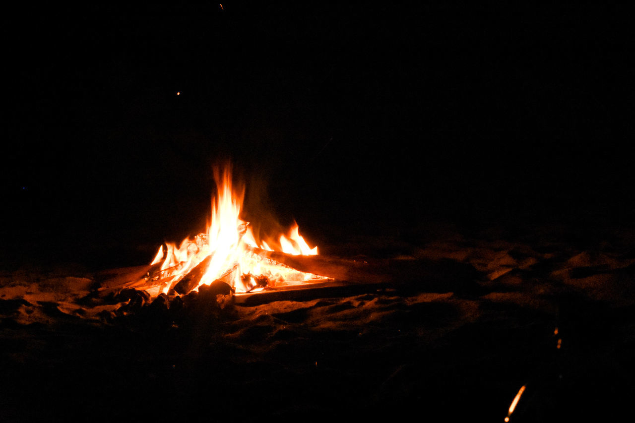 BONFIRE AT NIGHT IN FOREST