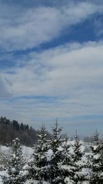 Scenic view of landscape against cloudy sky