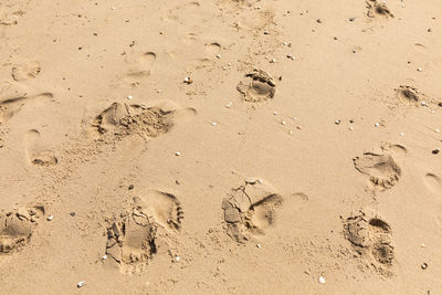 High angle view of footprints on sand