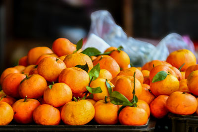 Close-up of oranges in market