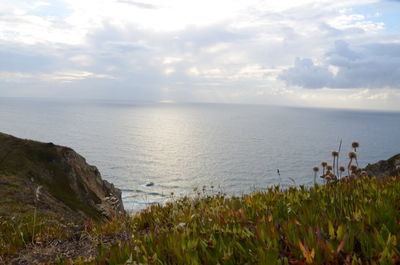 Scenic view of sea against sky