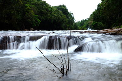 Scenic view of waterfall in forest