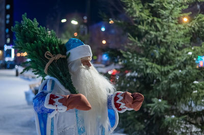 Close-up of christmas tree