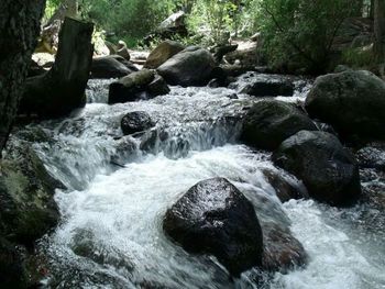 Scenic view of waterfall in forest