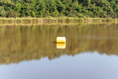 Reflection of trees in lake