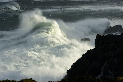 Panoramic view of sea and rocks